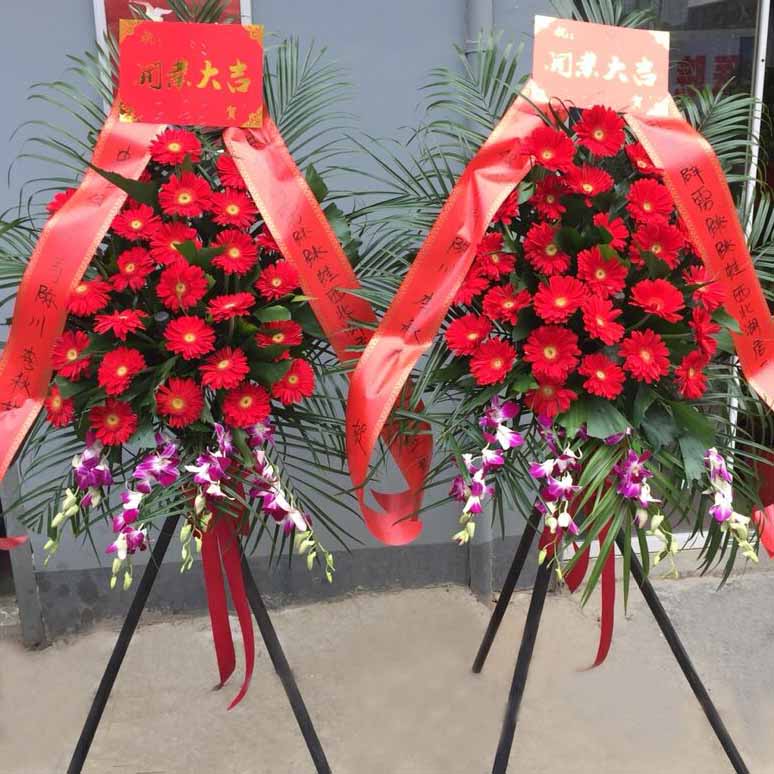 好運(yùn)連連